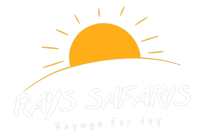 Rays Safaris| Gorilla and chimpanzee trekking in Uganda